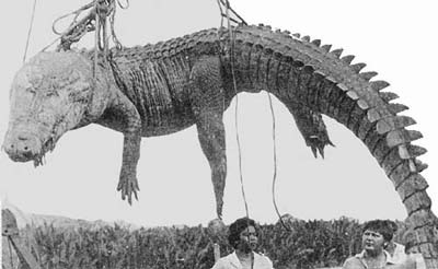 Экскурс в историю. Самая массовая атака крокодилов ХХ века