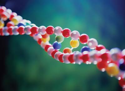 Ученые научились составлять фоторобот человека на основе его ДНК
