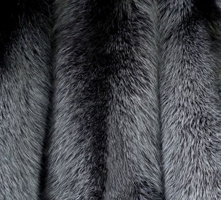 Продажа меха Черно-бурой лисы в Тюмени