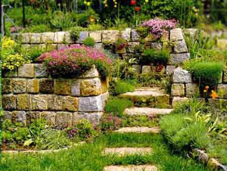 Рокарий - каменистый сад