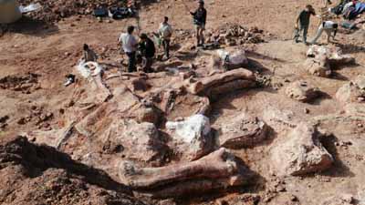 Останки самого крупного динозавра весом в 77 тонн обнаружены в Аргентине